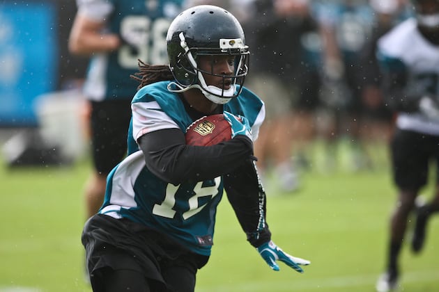Injury Limits Ace Sanders to One Day of Minicamp Practice
