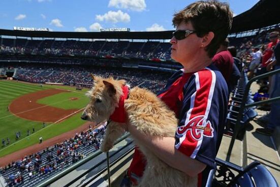 Here's a Dog Dressed as a Hot Dog, Eating a Hot Dog