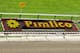Pimlico celebrates its name in flowers at Pimlico Racetrack, May 20, 2006. Later, the Baltimore, Maryland track will hold the 131st running of the Preakness Stakes on May 20, 2006. (Photo by A. Messerschmidt/Getty Images) *** Local Caption ***