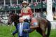 LOUISVILLE, KY - MAY 04: Trainer Shug McGaughey (L) walks with Orb ridden by jockey Joel Rosario after winning the 139th running of the Kentucky Derby at Churchill Downs on May 4, 2013 in Louisville, Kentucky. (Photo by Rob Carr/Getty Images)