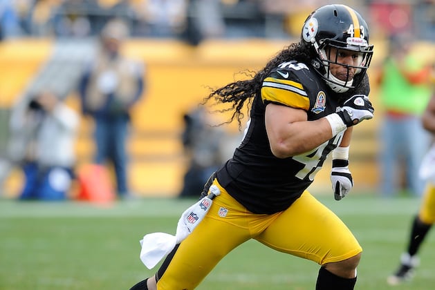 Steelers' Clark: Polamalu Third-Best Safety in NFL