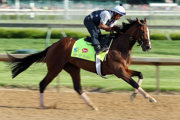 Kentucky Derby 2013 Results: Horses That Will Rebound at Preakness