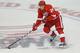 Damien Brunner has enjoyed a good rookie season in the NHL.