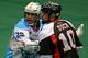 (Photo: Larry Palumbo, nll.com)