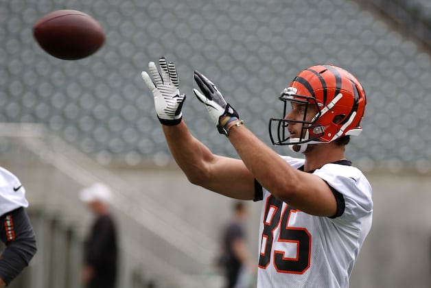 Bengals Get Started on 2 Tight-End Offense