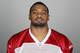 GLENDALE, AZ - 2009: Karlos Dansby of the Arizona Cardinals poses for his 2009 NFL headshot at photo day in Glendale, Arizona. (Photo by NFL Photos)
