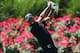 PONTE VEDRA BEACH, FL - MAY 10: Tiger Woods of the USA plays a shot from the 18th tee during round two of THE PLAYERS Championship at THE PLAYERS Stadium course at TPC Sawgrass on May 10, 2013 in Ponte Vedra Beach, Florida. (Photo by Richard Heathcote/Getty Images)
