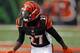 Dre Kirkpatrick could become a starter at cornerback for the Cincinnati Bengals in 2013.