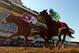 May 19, 2012; Baltimore, MD, USA; Mario Gutierrez aboard I'll Have Another (left) pulls past Mike Smith aboard Bodemeister to win the 137th running of the Preakness Stakes at Pimlico Race Course. Mandatory Credit: Maxwell Kruger-USA TODAY Sports