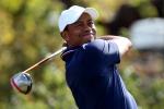 5 Lessons from Tiger That Will Help Your Game