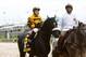 May 4, 2013; Louisville, KY, USA; Rosie Napravnik aboard Mylute (6) before the 2013 Kentucky Derby at Churchill Downs. Mandatory Credit: Jerry Lai-USA TODAY Sports