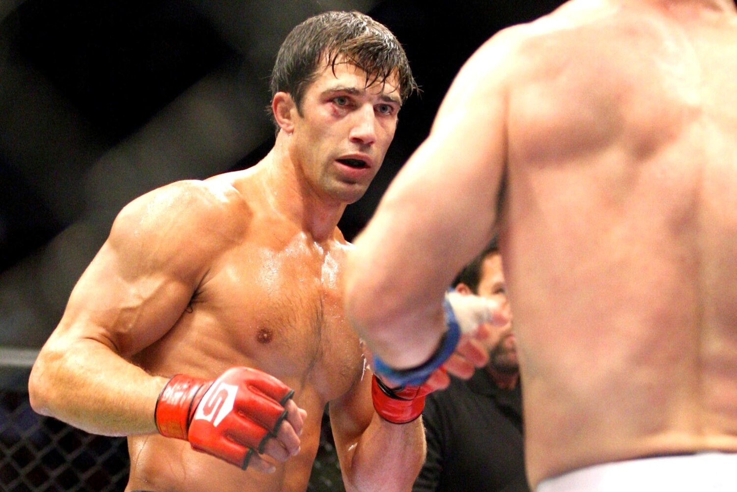 SEARCH AND BUY THIS PRODUCT Luke Rockhold: Vitor Belfort's 'Transformation' Just Isn't