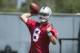 Tyler Wilson was impressive during Oakland's rookie minicamp.