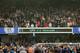 This was the result that ensured Newcastle's top flight safety