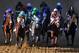 BALTIMORE, MD - MAY 19: The field heads into the first turn during the 137th Preakness Stakes at Pimlico Race Course on May 19, 2012 in Baltimore, Maryland. (Photo by Rob Carr/Getty Images)