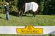 Kentucky Derby champion Orb