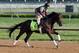 LOUISVILLE, KY - MAY 01: Itsmyluckyday trained by Eddie Plesa Jr runs on the track during the morning training for the 2013 Kentucky Derby at Churchill Downs on May 1, 2013 in Louisville, Kentucky. (Photo by Andy Lyons/Getty Images)