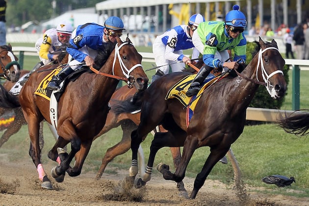 Black-Eyed Susan Stakes 2013: Highlighting Race's Top Contenders
