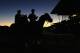 ARCADIA, CA - OCTOBER 29: Horses leave the track after training in preparation for the 2012 Breeder's Cup at Santa Anita Park on October 29, 2012 in Arcadia, California. (Photo by Harry How/Getty Images)