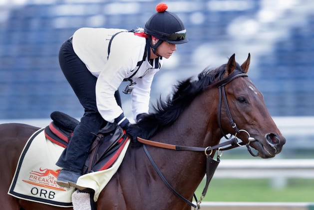 Orb Draws Rail as 1-1 Favorite in Preakness
