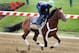 BALTIMORE, MD - MAY 15: Jockey Kevin Krigger takes Preakness entrant Goldencents over the track in preparation for the 138th Preakness Stakes at Pimlico Race Course on May 15, 2013 in Baltimore, Maryland. (Photo by Rob Carr/Getty Images)