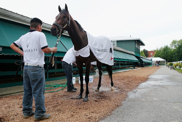 Preakness Predictions: Projecting the Top Three Finishers at Pimlico Race Course