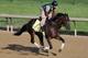 LOUISVILLE, KY - MAY 01: Itsmyluckyday trains on the track in preparation for the 2013 Kentucky Derby at Churchill Downs on May 1, 2013 in Louisville, Kentucky. (Photo by Rob Carr/Getty Images)