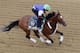 BALTIMORE, MD - MAY 16: Jockey Kevin Krigger takes Preakness entrant Goldencents over the track in preparation for the 138th Preakness Stakes at Pimlico Race Course on May 16, 2013 in Baltimore, Maryland. (Photo by Rob Carr/Getty Images)