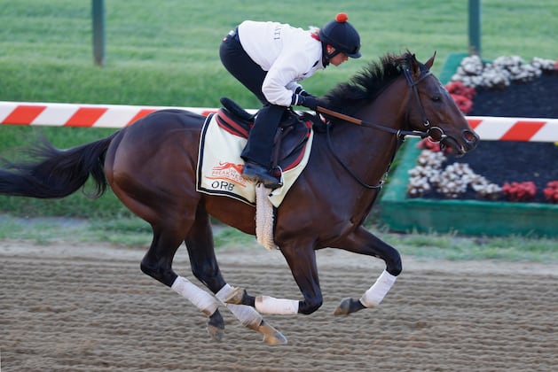 Preakness Post Positions 2013: Last-Minute Breakdown of Entire Field