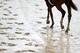 LOUISVILLE, KY - MAY 03: A rain soaked track runs during the morning exercise session in preparation for the 137th Kentucky Derby at Churchill Downs on May 3, 2011 in Louisville, Kentucky. (Photo by Matthew Stockman/Getty Images)