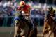 BALTIMORE, MD - MAY 17: Fiftyshadesofhay, ridden by Joel Rosario, pulls up after crossing the finish line after winning the 89th Black-Eyed Susan Stakes at Pimlico Race Course on May 17, 2013 in Baltimore, Maryland. (Photo by Matthew Stockman/Getty Images)