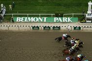 Early Belmont Stakes Predictions
