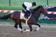 BALTIMORE, MD - MAY 17: Exercise rider Jennifer Patterson takes Kentucky Derby winner Orb over the track in preparation for the 138th Preakness Stakes at Pimlico Race Course on May 17, 2013 in Baltimore, Maryland. (Photo by Rob Carr/Getty Images)