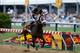 BALTIMORE, MD - MAY 18: Gary Stevens celebrates atop of Oxbow #6 as he comes to the finish line to win the 138th running of the Preakness Stakes at Pimlico Race Course on May 18, 2013 in Baltimore, Maryland. (Photo by Rob Carr/Getty Images)