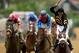 BALTIMORE, MD - MAY 18: Oxbow #6, ridden by Gary Stevens, leads the field to the finish line to win the 138th running of the Preakness Stakes at Pimlico Race Course on May 18, 2013 in Baltimore, Maryland. (Photo by Patrick Smith/Getty Images)