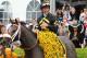 May 18, 2013; Baltimore, MA, USA; Gary Stevens (left) reacts with Oxbow after winning the 138th running of the Preakness Stakes at Pimlico race course. Mandatory Credit: Mitch Stringer-USA TODAY Sports