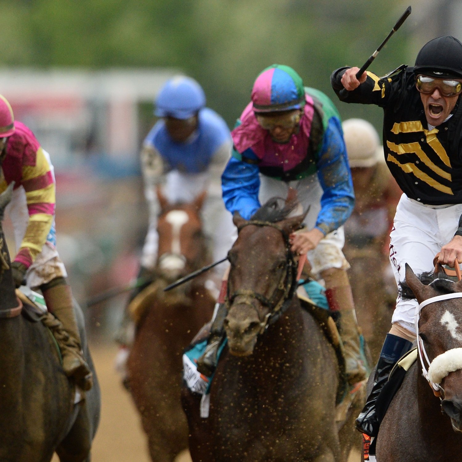 Preakness Results Biggest Disappointments from Pimlico Race Course