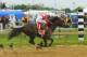 In his bid for the Triple Crown, Orb finished fourth, never giving serious chase to wire-to-wire winner Oxbow.