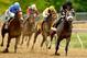 BALTIMORE, MD - MAY 18: Oxbow #6, ridden by Gary Stevens, leads the field to the finish line to win the 138th running of the Preakness Stakes at Pimlico Race Course on May 18, 2013 in Baltimore, Maryland. (Photo by Molly Riley/Getty Images)