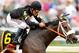 BALTIMORE, MD - MAY 18: Oxbow #6, ridden by Gary Stevens, leads the field out of the fourth turn to win the 138th running of the Preakness Stakes at Pimlico Race Course on May 18, 2013 in Baltimore, Maryland. (Photo by Molly Riley/Getty Images)