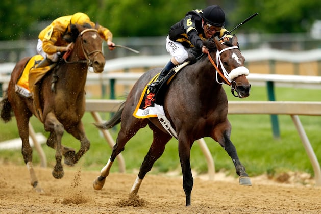 Preakness 2013 Winner: Oxbow Victory Means More Than Just Stakes Win