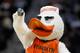 ATLANTA, GA - MARCH 08: Sebastian the Ibis, the Miami Hurricanes mascot, gestures during their first round game of 2012 ACC Men's Basketball Conferene Tournament against the Georgia Tech Yellow Jackets at Philips Arena on March 8, 2012 in Atlanta, Georgia. (Photo by Streeter Lecka/Getty Images)