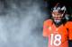 DENVER, CO - JANUARY 12: Peyton Manning #18 of the Denver Broncos looks through smoke as he waits in the tunnel during player introductions against the Baltimore Ravens during the AFC Divisional Playoff Game at Sports Authority Field at Mile High on January 12, 2013 in Denver, Colorado. (Photo by Dustin Bradford/Getty Images)