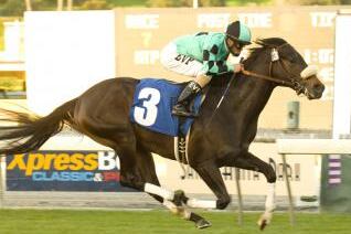 Trainer Justin Evans Records 1,000th Win