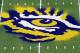 BATON ROUGE, LA - OCTOBER 22: A detail of the logo on the field of the LSU Tigers prior to the the game against the Auburn Tigers at Tiger Stadium on October 22, 2011 in Baton Rouge, Louisiana. (Photo by Jamie Squire/Getty Images)
