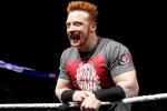 Why Sheamus Could Contend for Multiple Titles