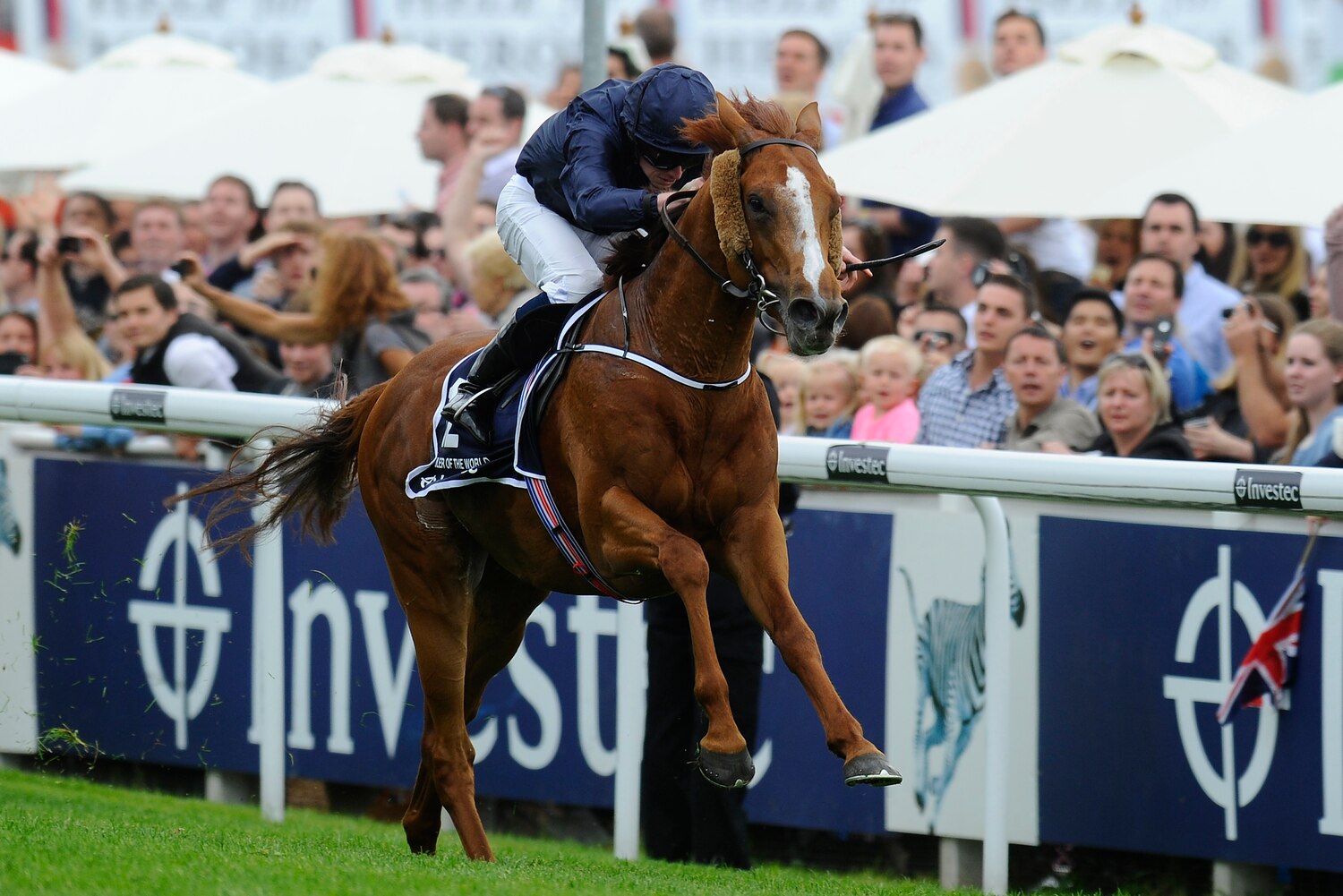 Epsom Derby 2013 Payouts Full Breakdown of Earnings for Each Horse