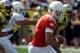 Quarterback Marcus Mariota in the Spring Game