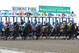 June 9, 2012; Elmont, NY, USA; A general view of the starting gate during the 144th running of Belmont Stakes at Belmont Park. Mandatory Credit: Anthony Gruppuso-USA TODAY Sports