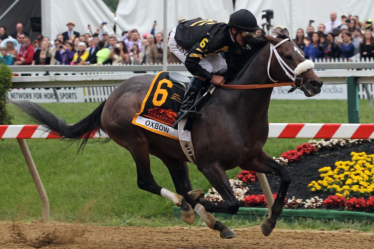 Belmont Stakes 2013 Contenders: Breaking Down Most Dangerous Horses Set